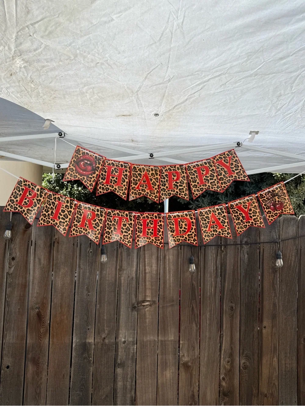 Cheetah Birthday Banner